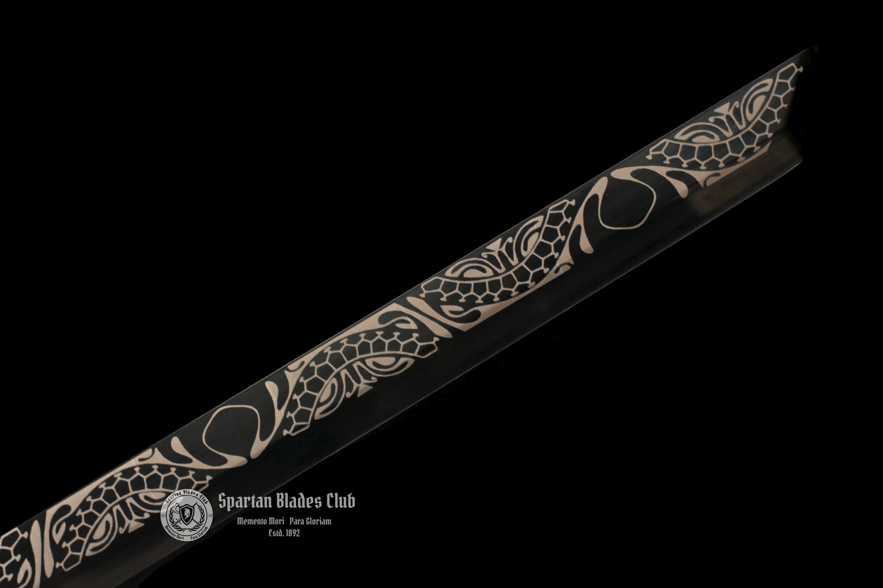 *TK20* Proud Dragon Tangdao Sword - Black Blade - Handcrafted Beauty - High Manganese Steel - Full Tang - Battle Ready - S.B.C - Spartan Blades Club - 陳氏劍莊1892