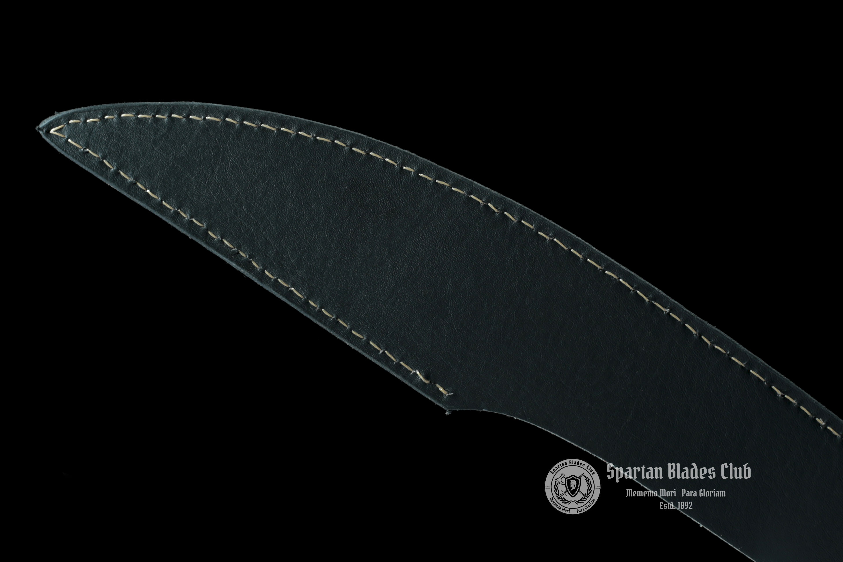 TK17 Skull King  Sword | Black Blade - Handcrafted Manganese Steel Blade - High Performance - Full Tang - Battle Ready - Spartan Blades Club - Spartan Blades Club - 陳氏劍莊1892