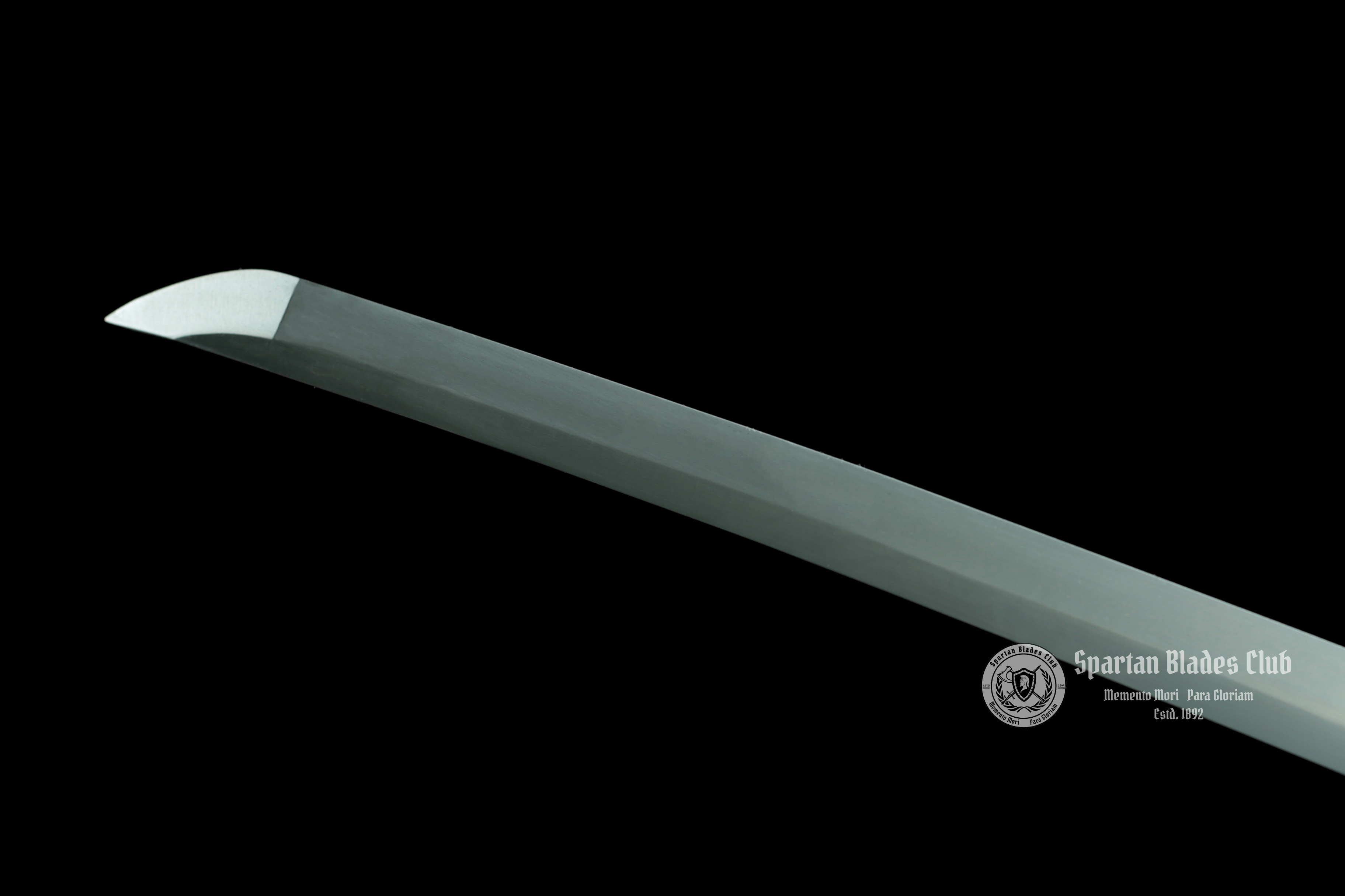 *TK36* Golden Glory(金色荣耀) Odachi - 65Mn Spring Steel - 168cm (66.14 inches) - Full Tang - Battle Ready - S.B.C - Spartan Blades Club - 陳氏劍莊1892