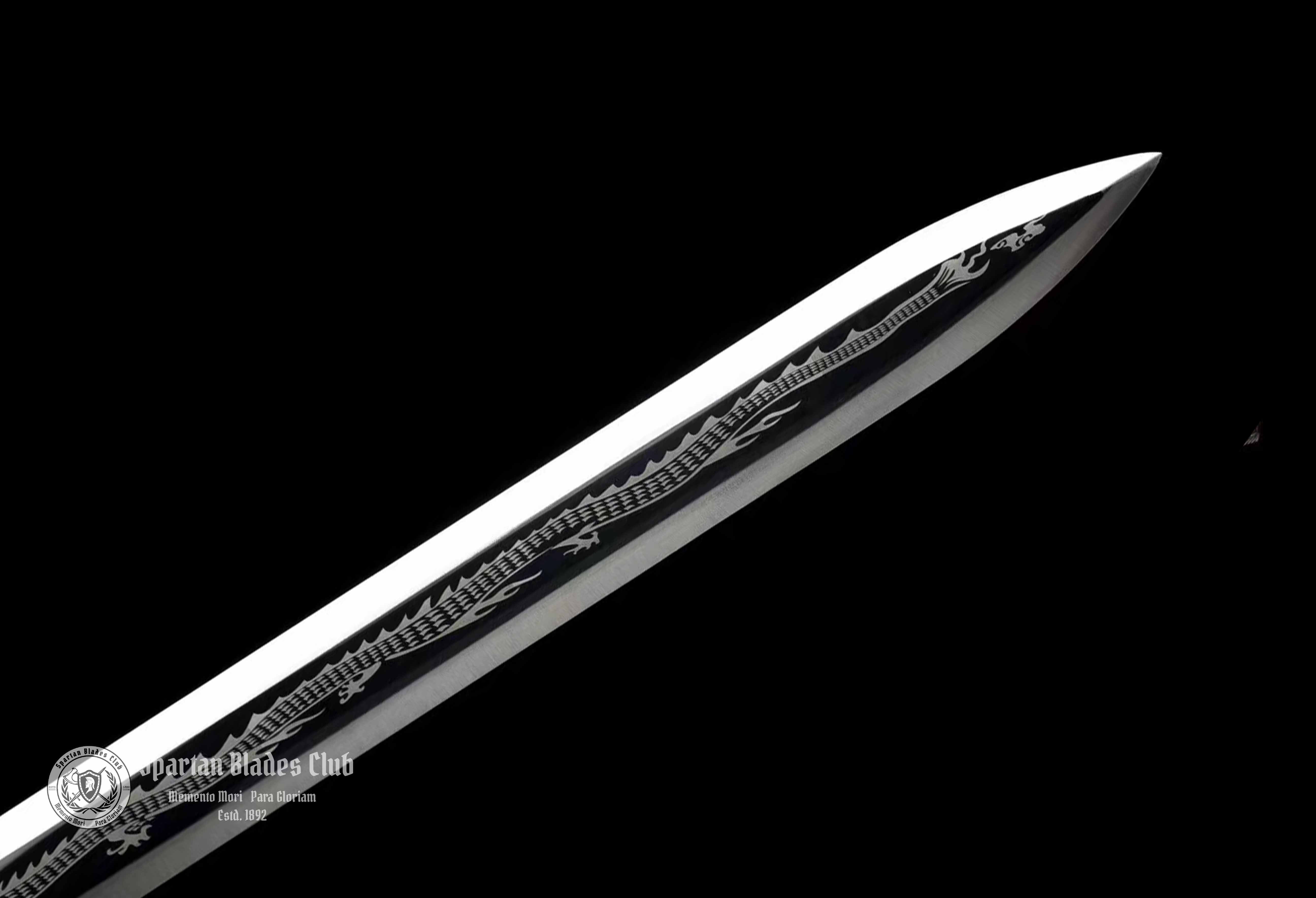 TK55🐲Black Golden Dragon King Jian Sword - High-Performance Manganese Steel - Black Blade - Alloy Fittings - Full Tang - S.B.C 🗡️ - Spartan Blades Club - 陳氏劍莊1892