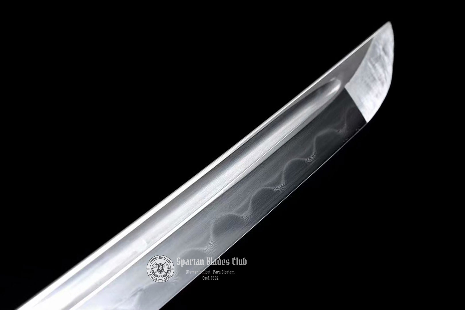 Rosewood Sword - Spartan Blades Club - 陳氏劍莊1892