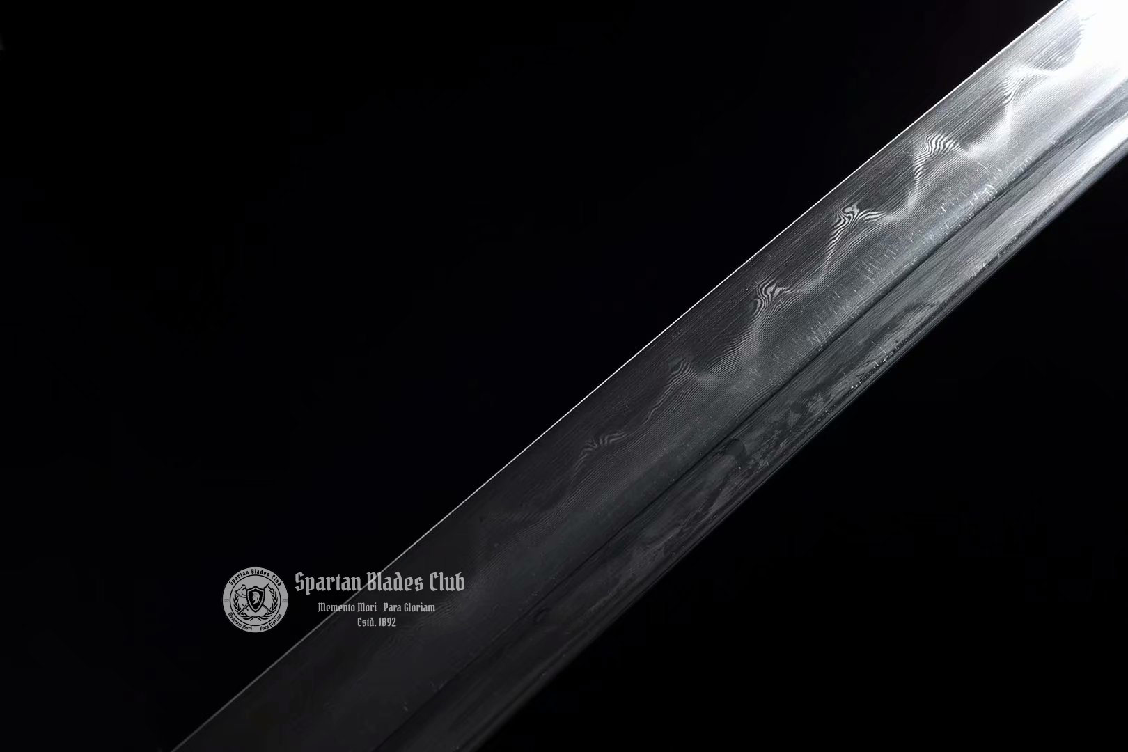 Rosewood Sword - Spartan Blades Club - 陳氏劍莊1892