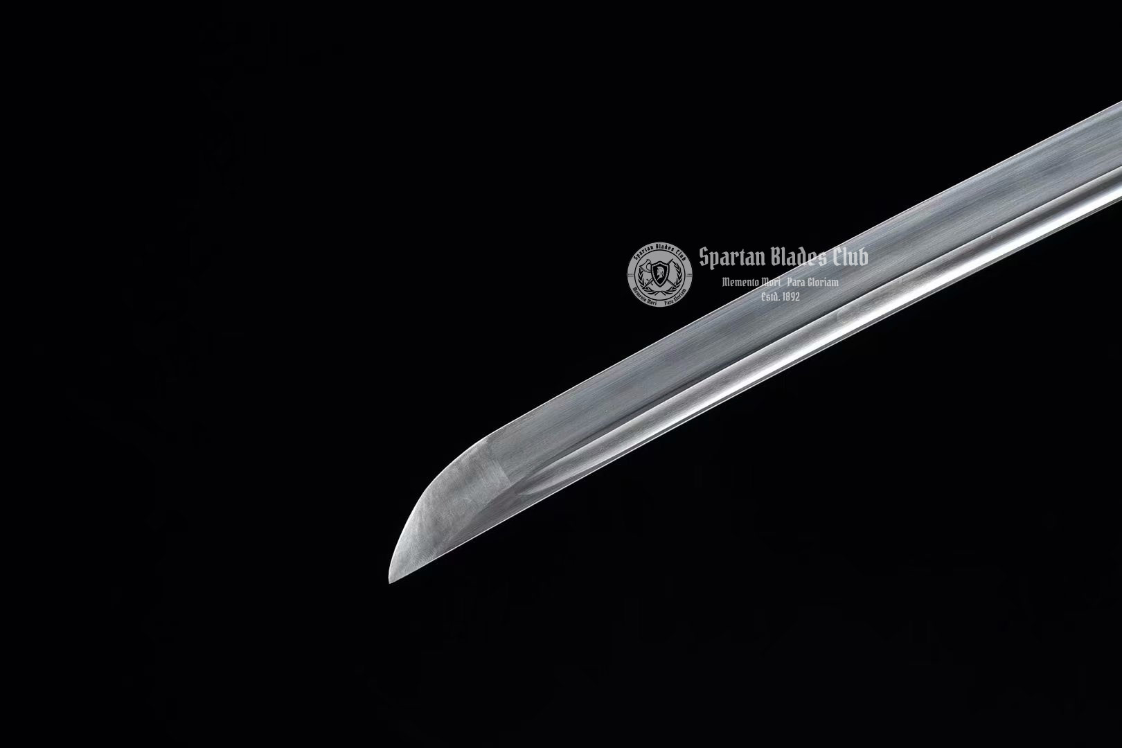 Rosewood Sword - Spartan Blades Club - 陳氏劍莊1892