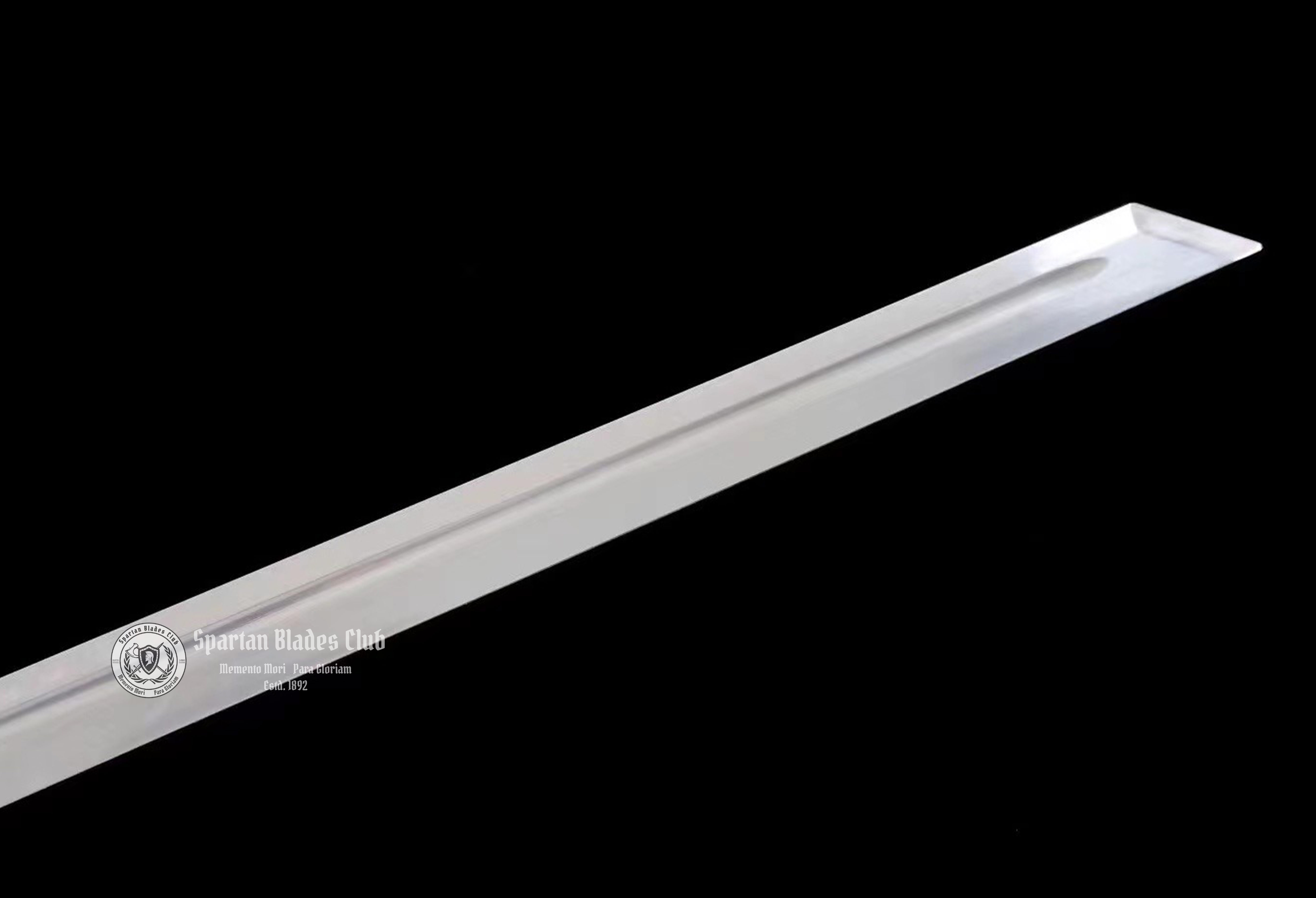 【TK88】 Buliangren（不良人） Hidden-Hilt Sword - Tangdao Sword - 65Mn Spring Steel -  Chicken Wing Wood Scabbard - Battle Ready - Full Tang - S.B.C 🌟 - Spartan Blades Club - 陳氏劍莊1892