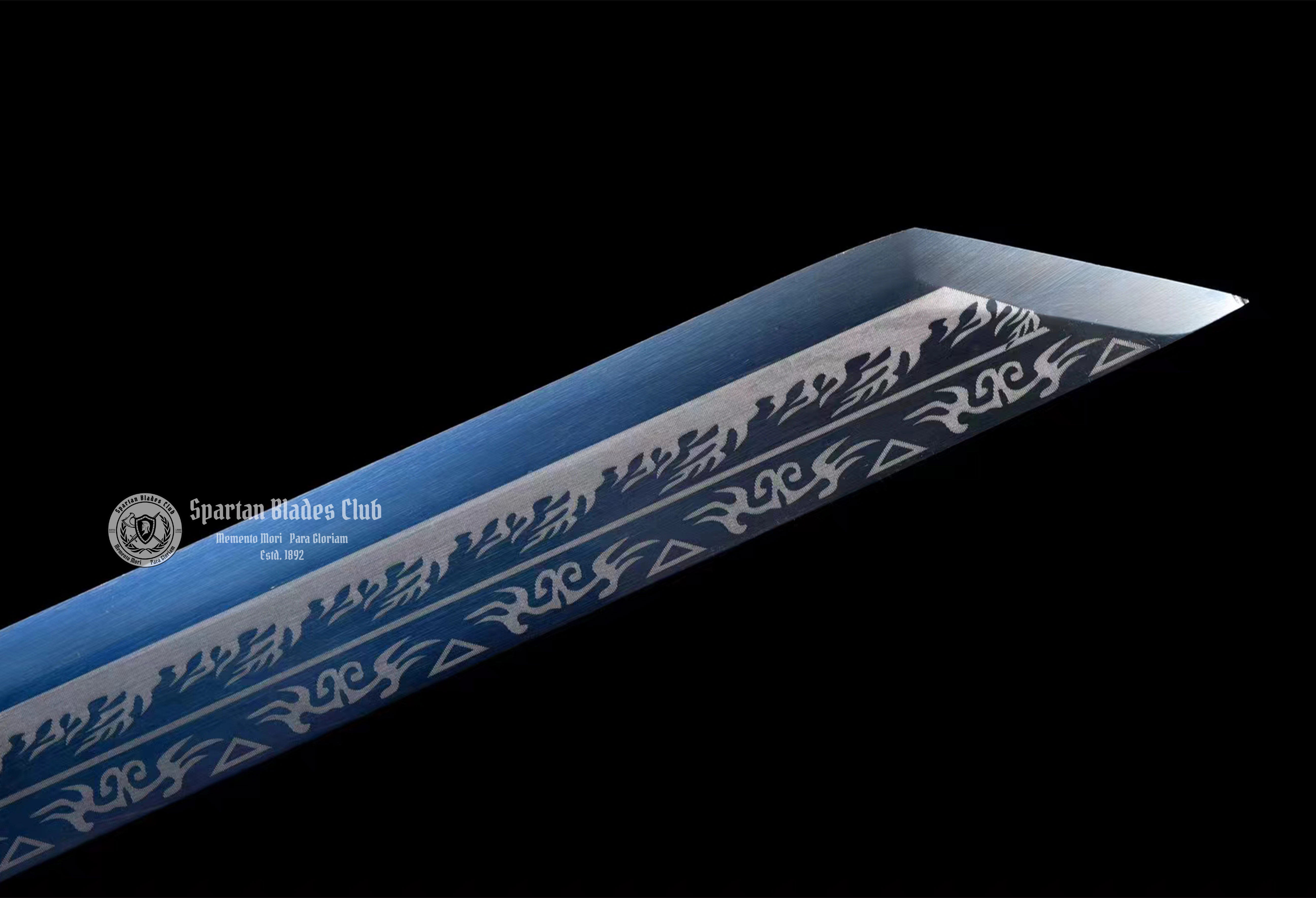 *TK21* Proud Dragon Tangdao Sword - Blue Blade - Handcrafted Beauty - High Manganese Steel - Full Tang - Battle Ready - S.B.C - Spartan Blades Club