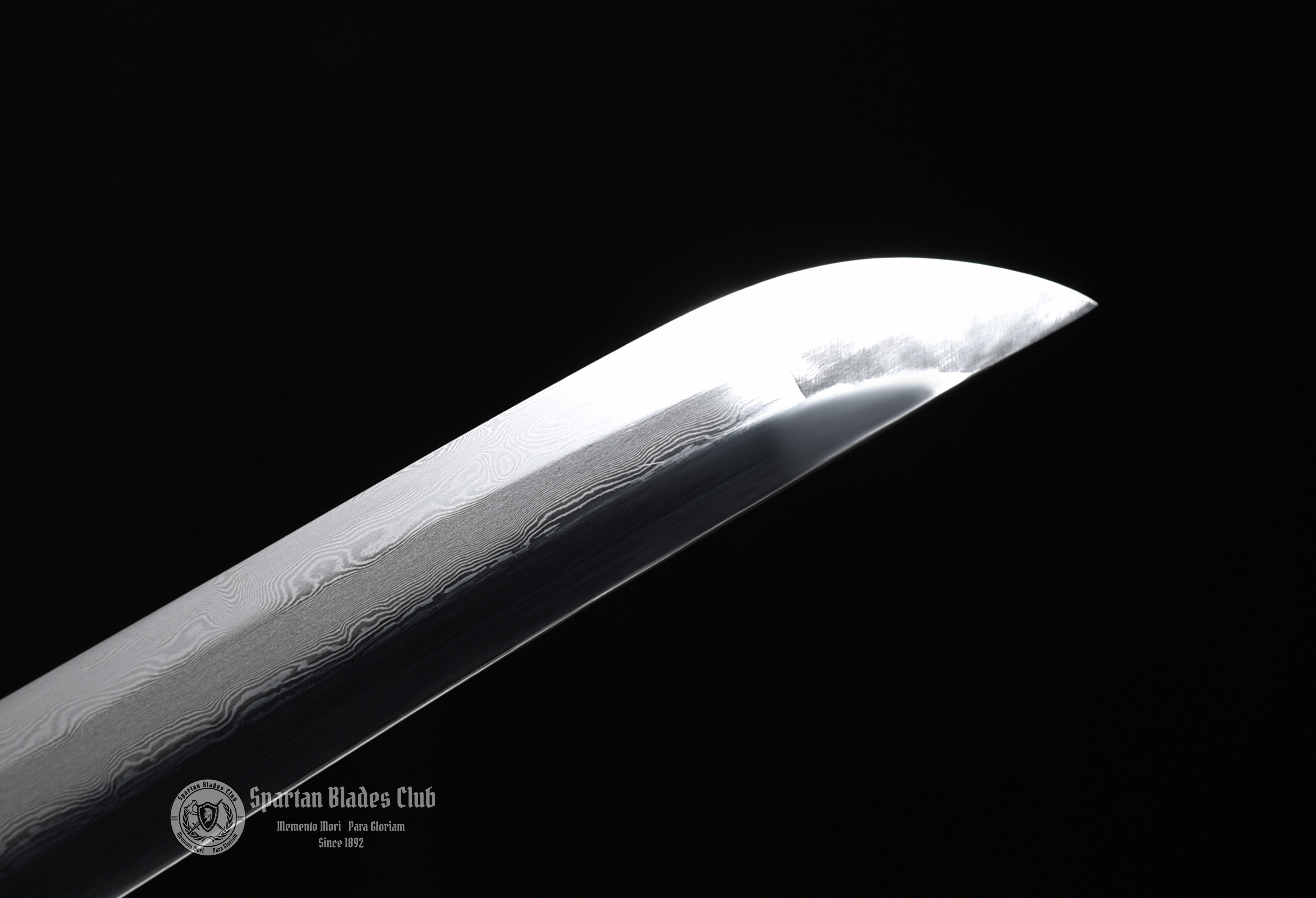 雪影武士 - Storm Shadow Samurai-Katana - Damascus Steel - Hadori Polishing - Full Tang - Battle-Ready - Sakura Blossom Design -Snow White- S.B.C & CHEN'S SWORDS - Spartan Blades Club - 陳氏劍莊1892