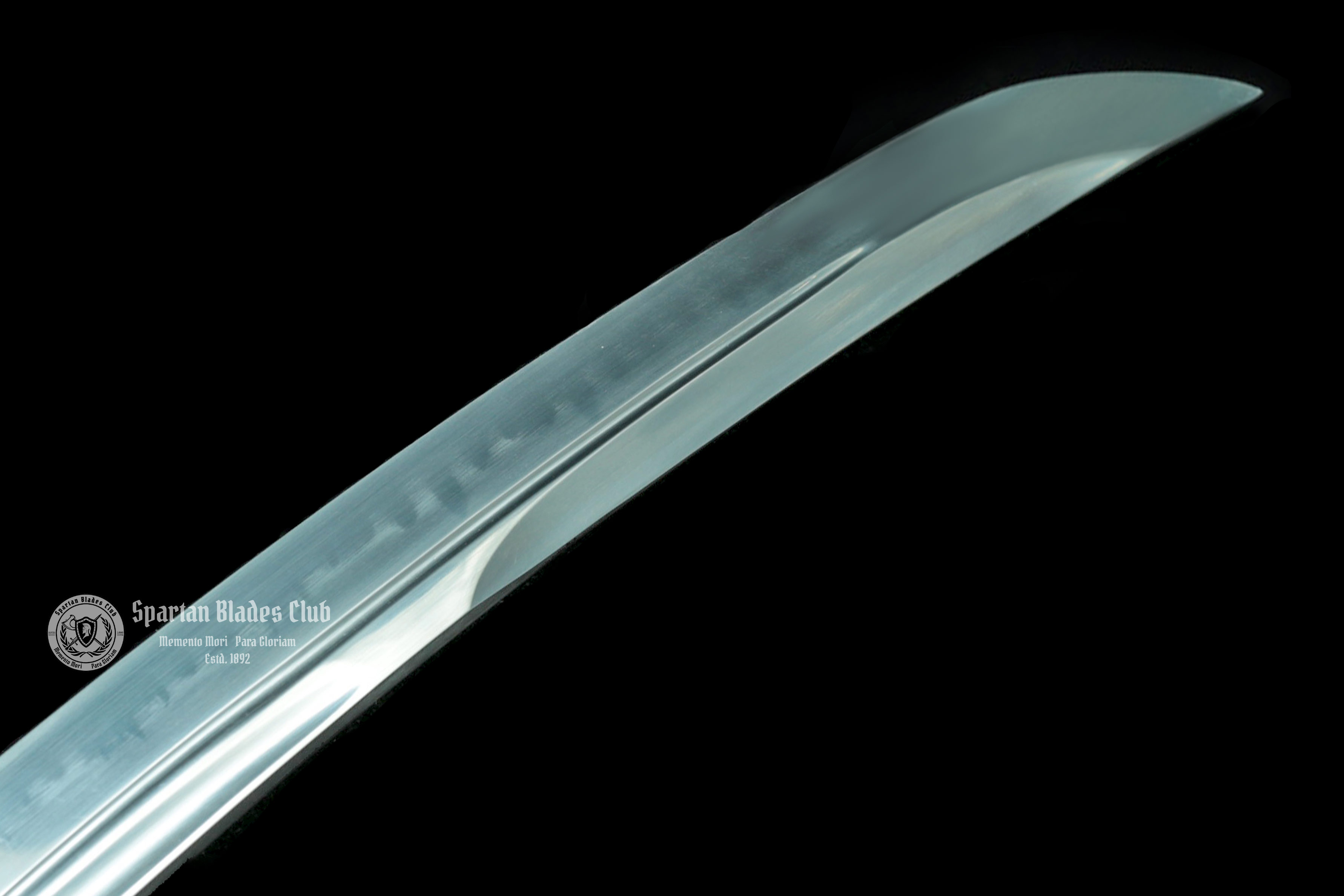 🐲TK24🐲 Black Dragon Slayer(黑狱魔龙)Katana Wakizashi Tanto/ Daisho Set / T10 Steel Clay-Tempered / Full-tang / Battle-ready / Handcrafted / Black Dragon / Spartan Blades Club / CHEN'S SWORDS 1892 - Spartan Blades Club - 陳氏劍莊1892