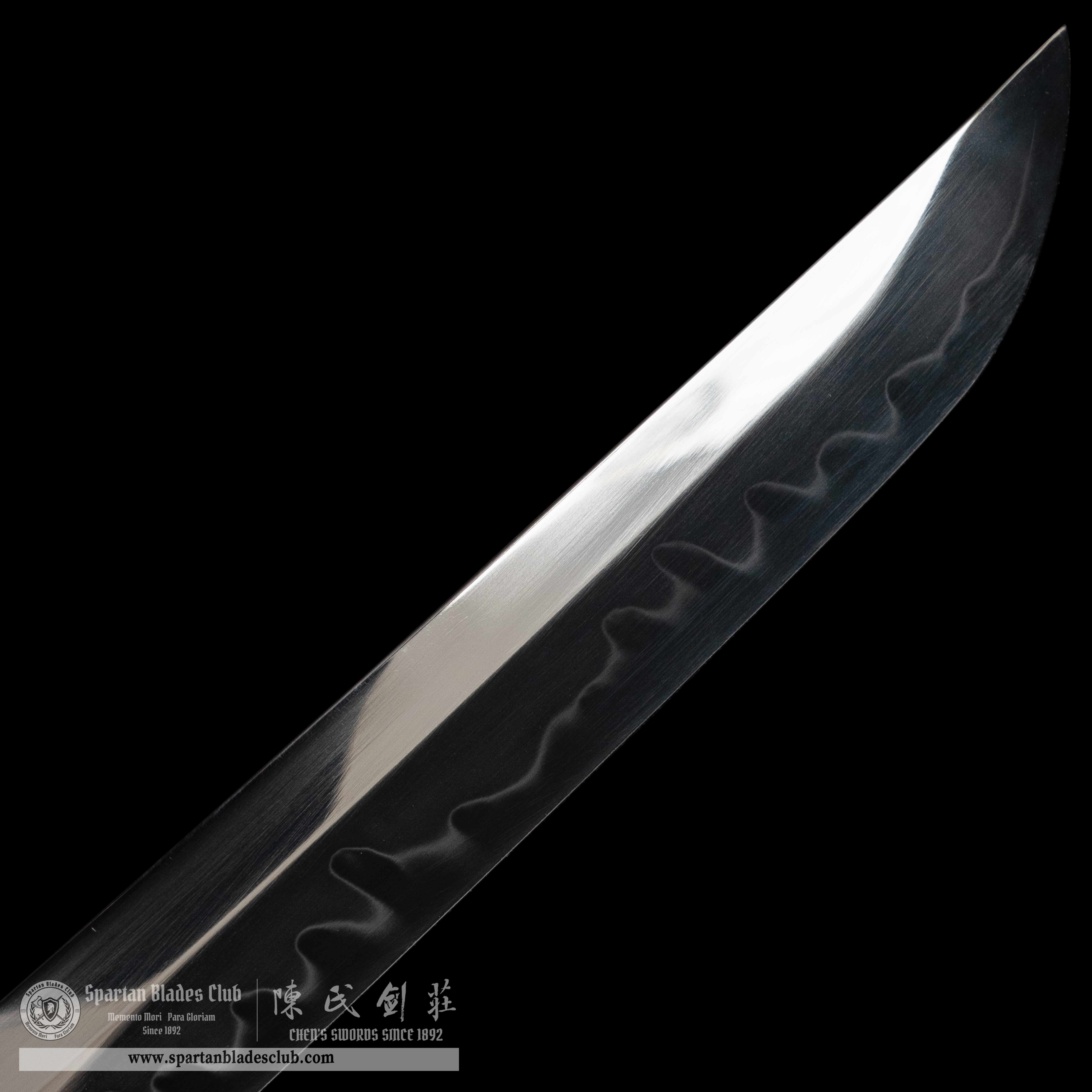 HY08|Loong Shine Blade🐉|Tanto|T10 steel|Clay-tempered|Real Hamon|Loong dragon|Black|Battle-Ready|Full-tang|Spartan Blades Club|CHEN'S SWORDS 1892 - Spartan Blades Club - 陳氏劍莊1892