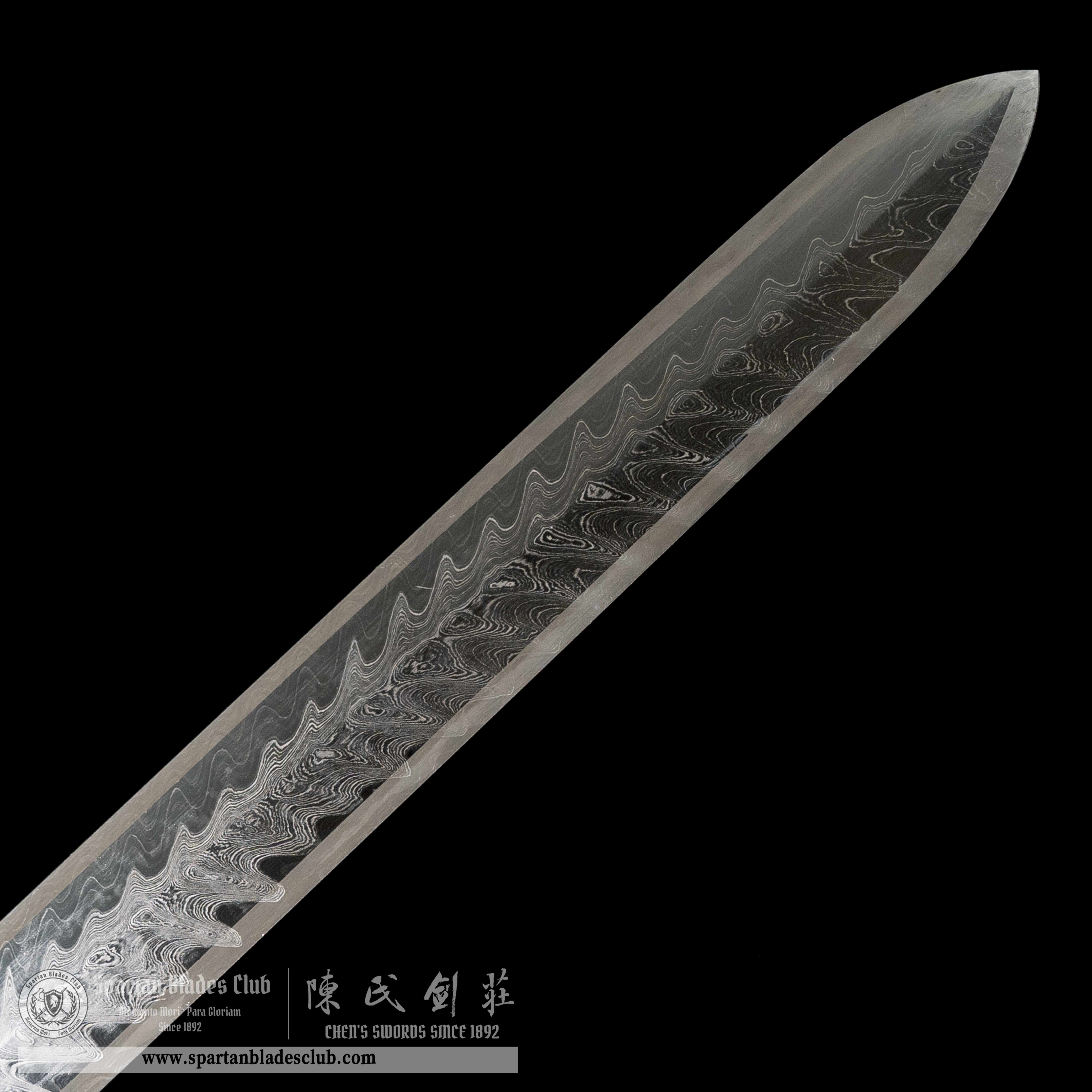 TR01|🐉JinHui Blade|Jian|Damascus steel|Loong dragon|Black&golden|Battle-Ready|Full-tang|Spartan Blades Club|CHEN'S SWORDS 1892 - Spartan Blades Club - 陳氏劍莊1892