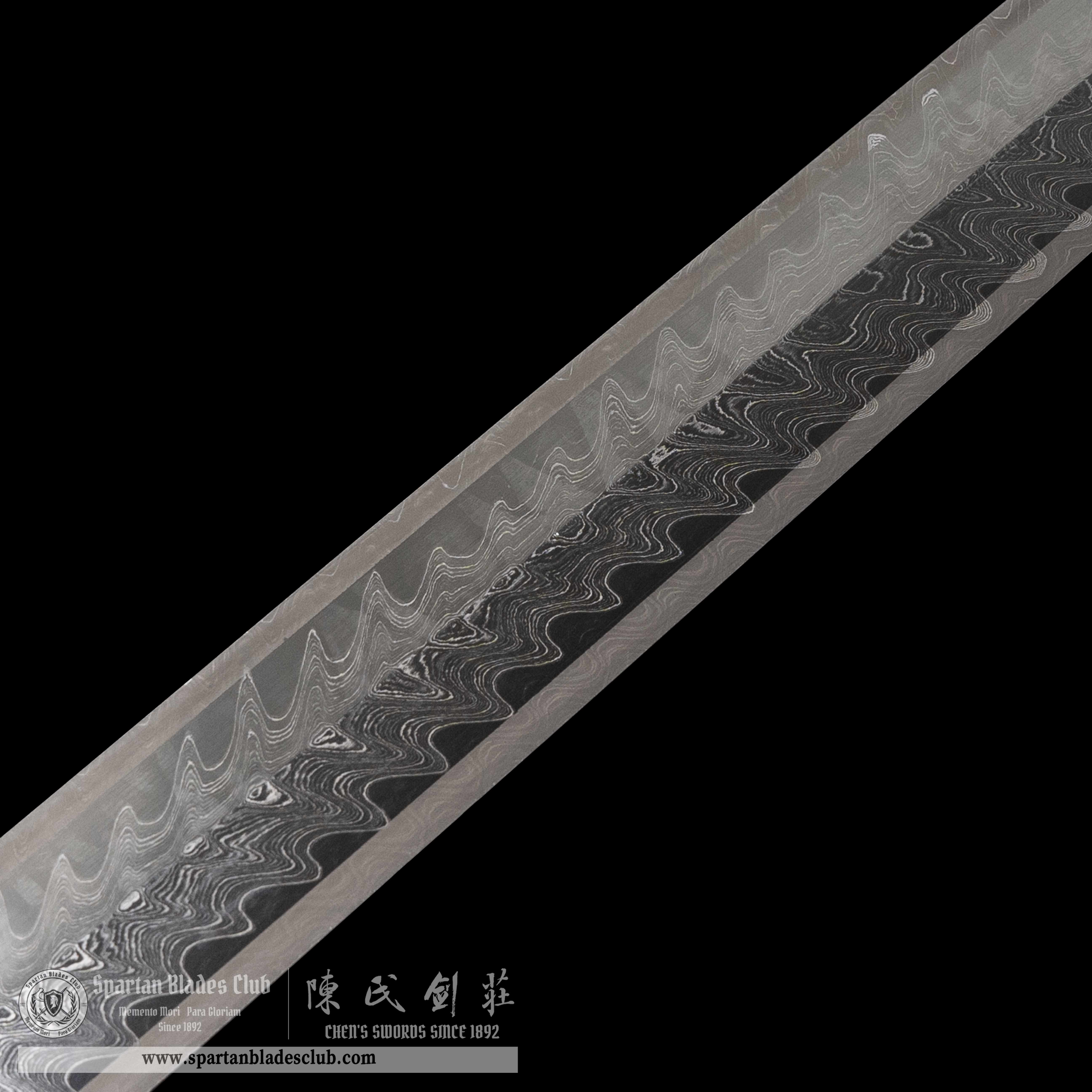 TR01|🐉JinHui Blade|Jian|Damascus steel|Loong dragon|Black&golden|Battle-Ready|Full-tang|Spartan Blades Club|CHEN'S SWORDS 1892 - Spartan Blades Club - 陳氏劍莊1892