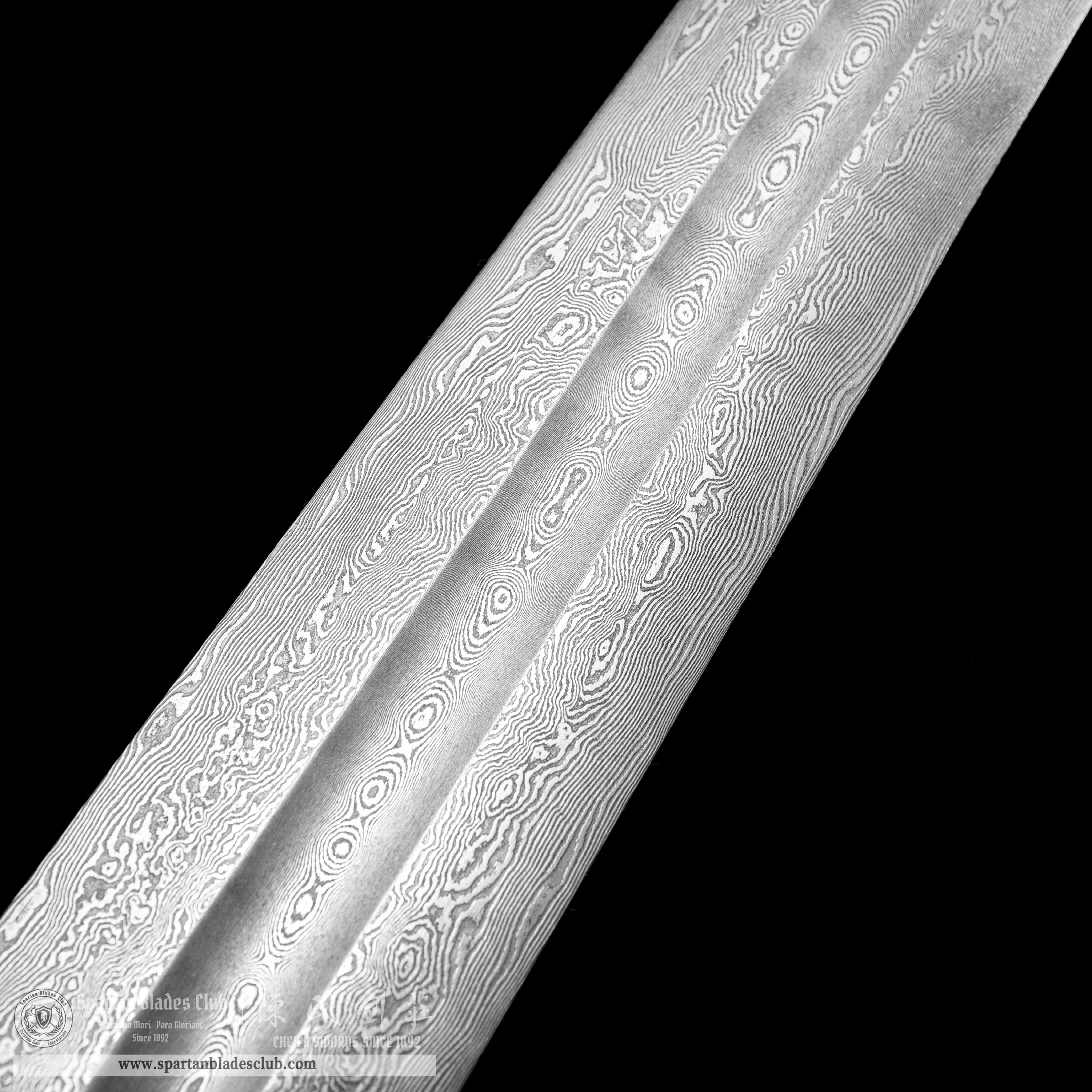 TR13|Umbra Blade|European Sword|Damascus steel|Black&silvery|Battle-Ready|Full-tang|Spartan Blades Club|CHEN'S SWORDS 1892 - Spartan Blades Club - 陳氏劍莊1892