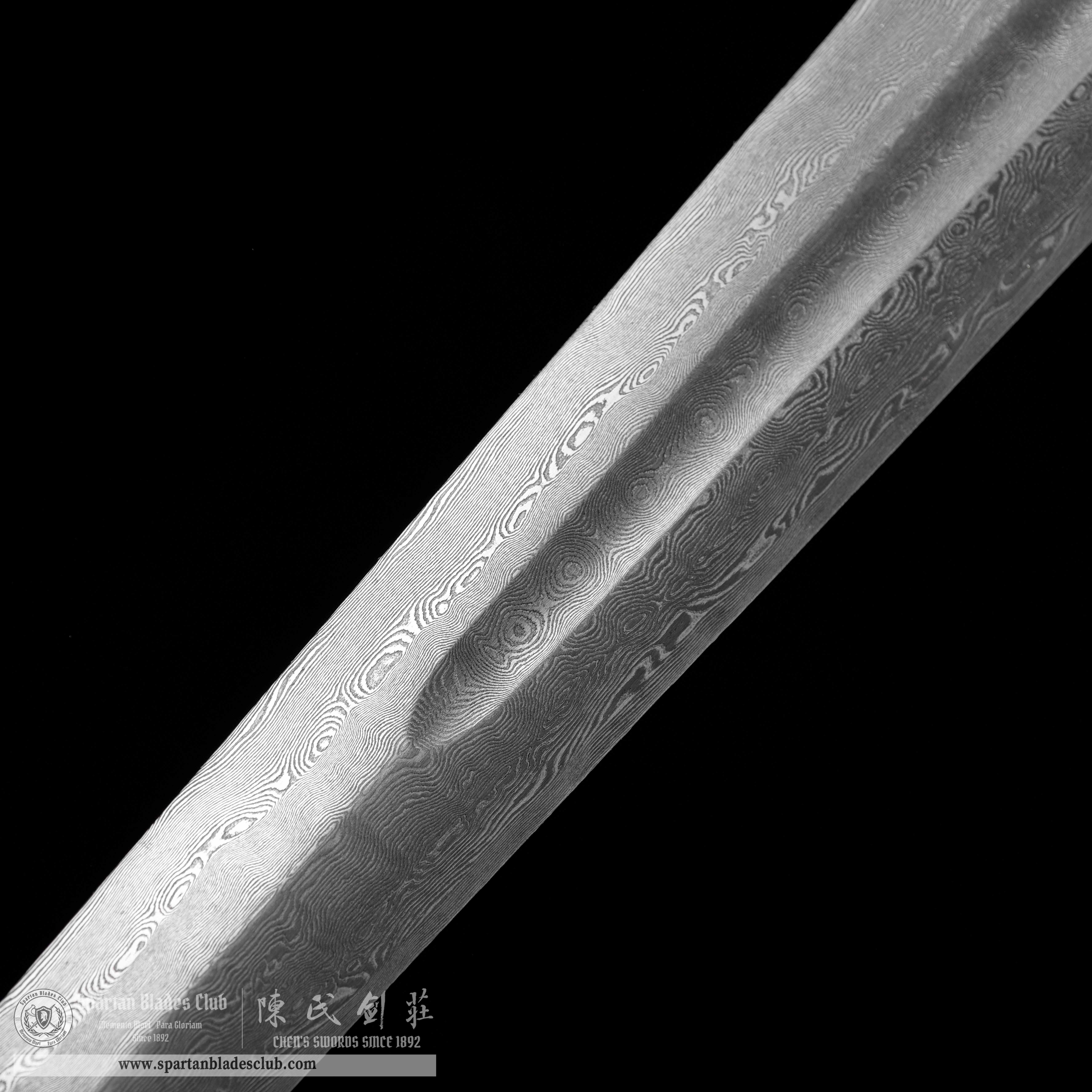 TR13|Umbra Blade|European Sword|Damascus steel|Black&silvery|Battle-Ready|Full-tang|Spartan Blades Club|CHEN'S SWORDS 1892 - Spartan Blades Club - 陳氏劍莊1892