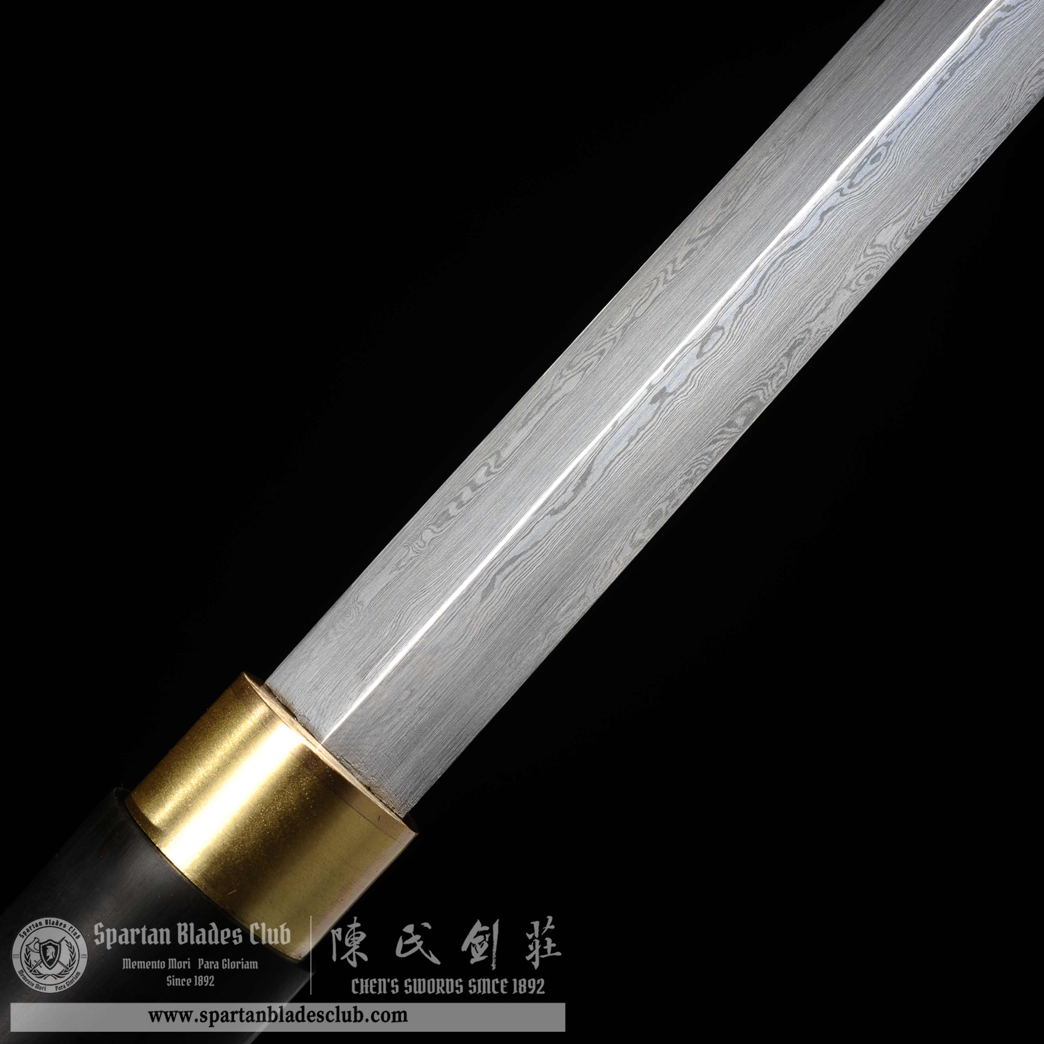 HY100| Ebon Cane Sword | Katana | Damascus steel | loong(Chinese dragon) | Black&golden | Battle-Ready | Full-tang | Spartan Blades Club | CHEN'S SWORDS 1892 - Spartan Blades Club - 陳氏劍莊1892