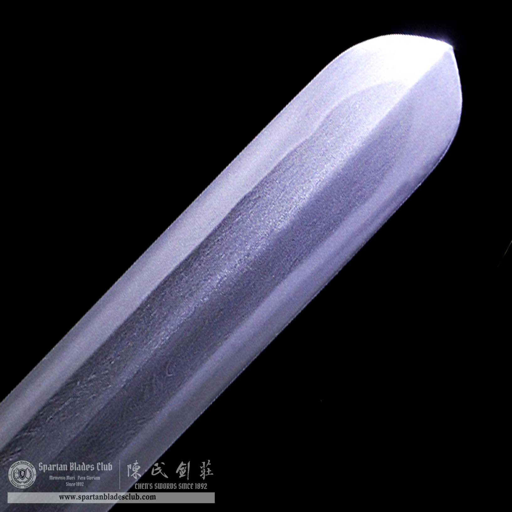 DE02 | ZunLoong YaoHua Sword | Jian | Wootz steel | clay-tempered | Real Hamon | Silvery | Loong(Chinese Dragon) | Battle-Ready | Full-tang | Spartan Blades Club | CHEN'S SWORDS 1892 - Spartan Blades Club - 陳氏劍莊1892