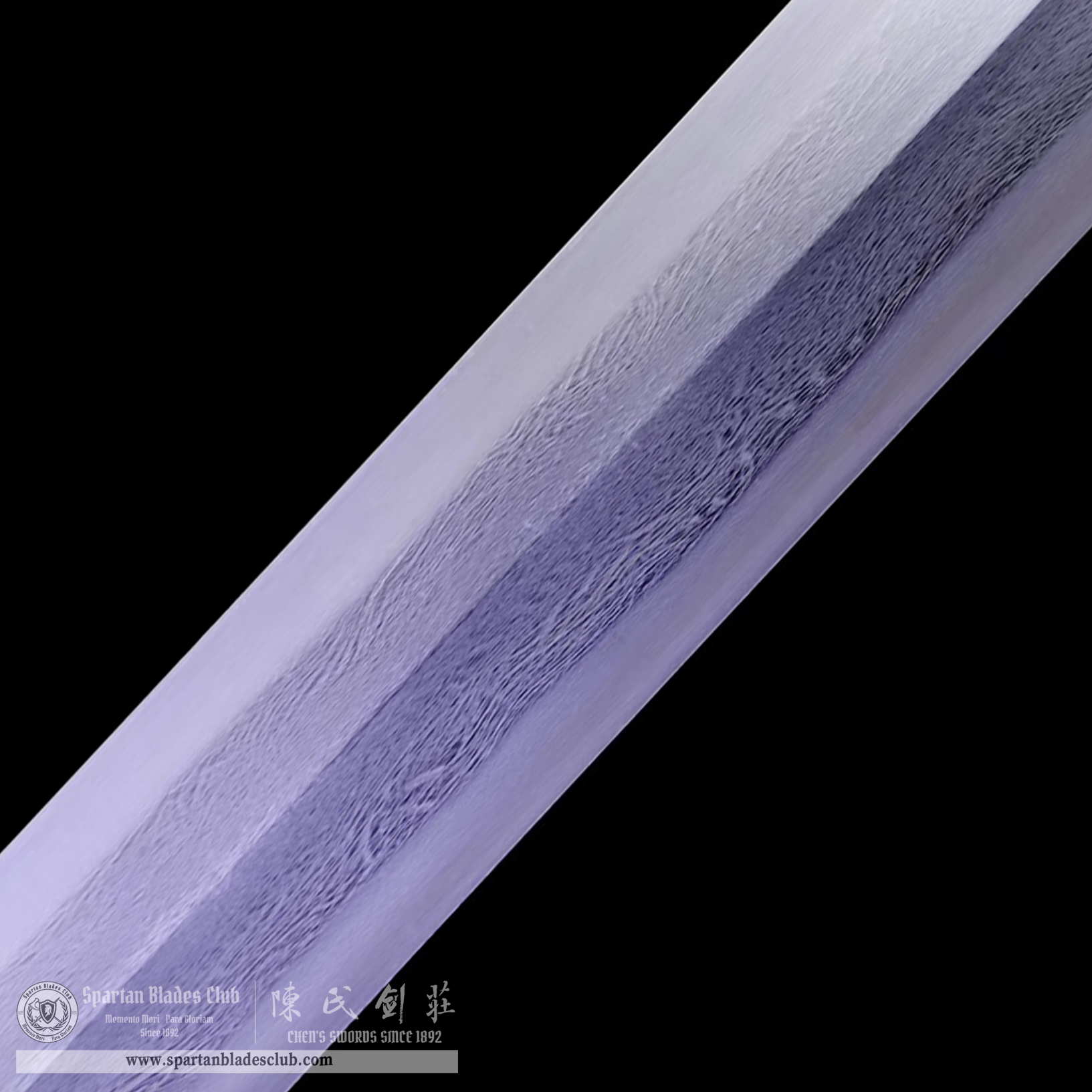 DE02 | ZunLoong YaoHua Sword | Jian | Wootz steel | clay-tempered | Real Hamon | Silvery | Loong(Chinese Dragon) | Battle-Ready | Full-tang | Spartan Blades Club | CHEN'S SWORDS 1892 - Spartan Blades Club - 陳氏劍莊1892