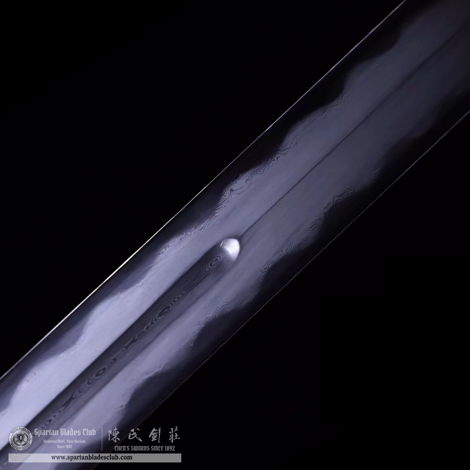 DE01 | Yongle Great Sword | Jian | Damascus steel | clay-tempered | real hamon | Golden | Battle-Ready | Full-tang | Spartan Blades Club | CHEN'S SWORDS 1892 - Spartan Blades Club - 陳氏劍莊1892