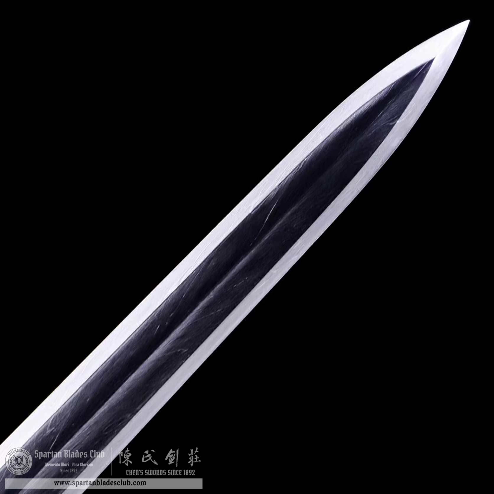 DE03 | CuiHua Sword | Jian | Damascus steel | Refined feather-patterned | Green | ray skin | Battle-Ready | Full-tang | Spartan Blades Club | CHEN'S SWORDS 1892 - Spartan Blades Club - 陳氏劍莊1892