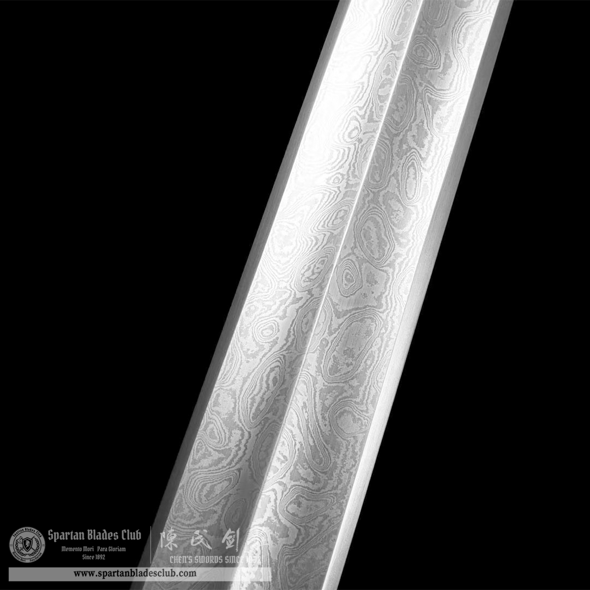 TL15 | Longwen Huangtong Jian | Chinese sword (JIAN) | Damascus steel | twist and stars pattern | Wamian Structured | Loong | Battle-Ready | Full-tang | Spartan Blades Club | CHEN'S SWORDS 1892 - Spartan Blades Club - 陳氏劍莊1892