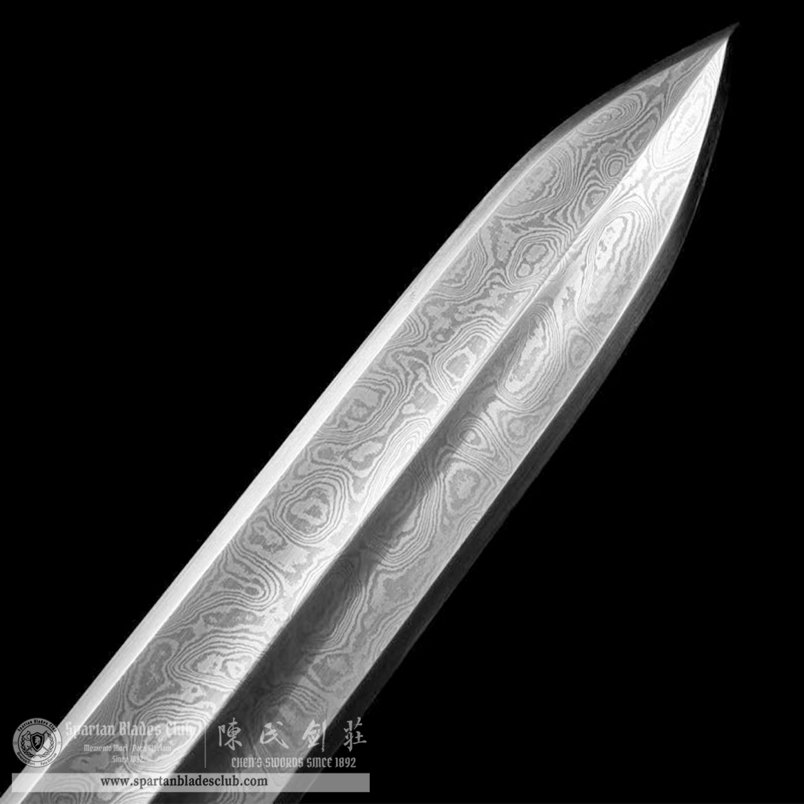 TL15 | Longwen Huangtong Jian | Chinese sword (JIAN) | Damascus steel | twist and stars pattern | Wamian Structured | Loong | Battle-Ready | Full-tang | Spartan Blades Club | CHEN'S SWORDS 1892 - Spartan Blades Club - 陳氏劍莊1892