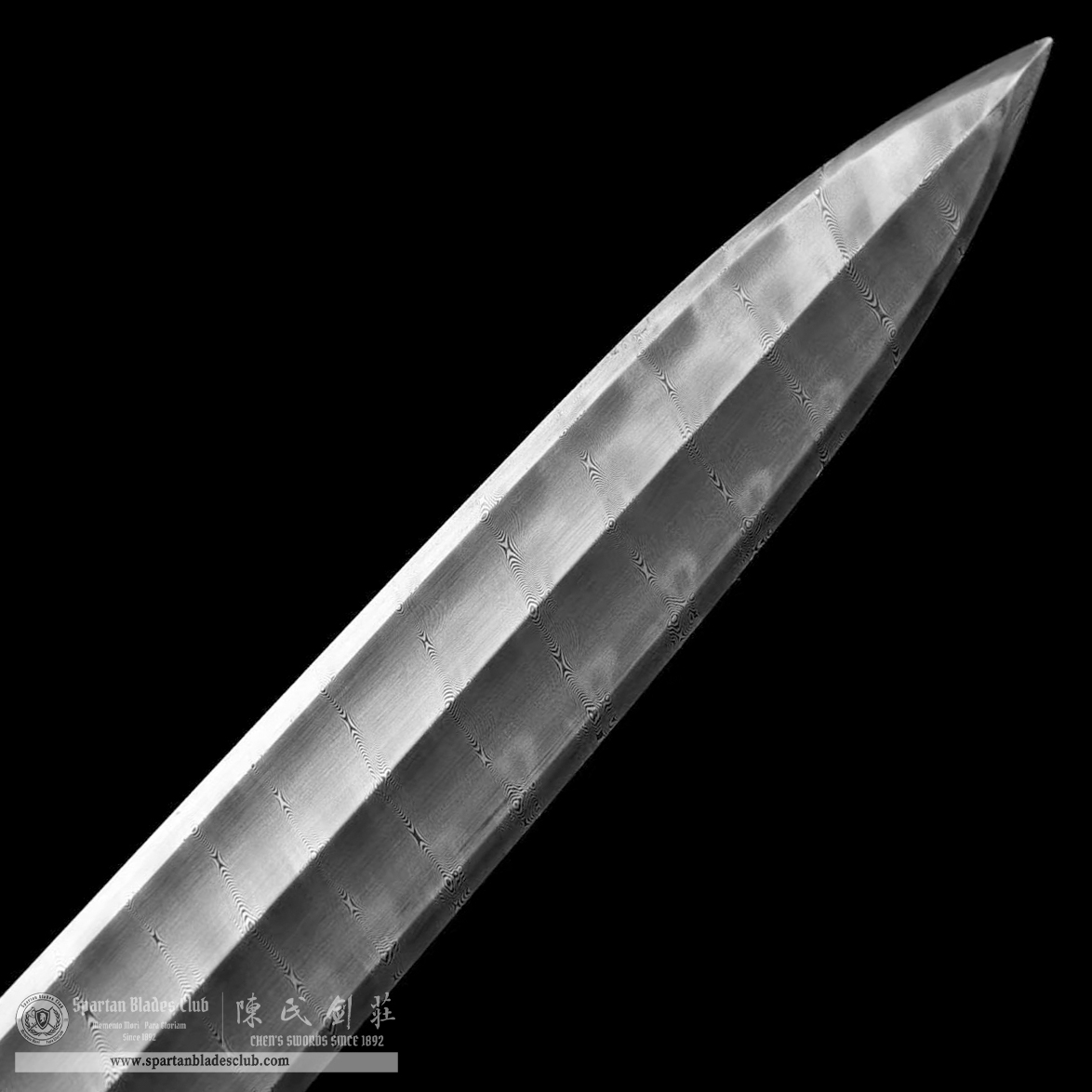 TL16 | Longwei Zhan Jian | Chinese sword (JIAN) | Damascus steel | twist and stars pattern | Wamian Structured | Loong | Battle-Ready | Full-tang | Spartan Blades Club | CHEN'S SWORDS 1892 - Spartan Blades Club - 陳氏劍莊1892