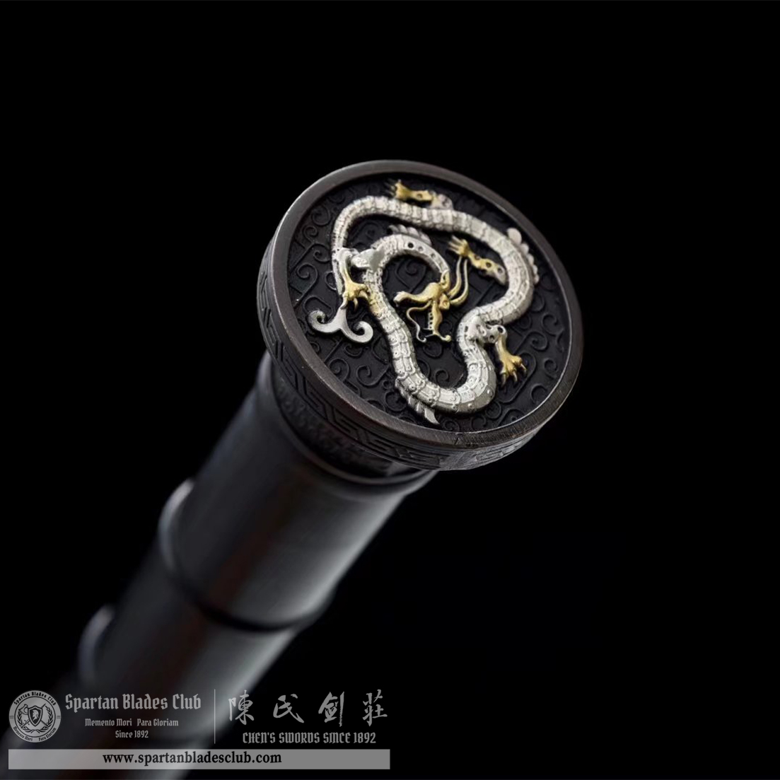 TL18 | Longhu Zhan Jian | Chinese sword (JIAN) | Damascus steel | twist and stars pattern | Wamian Structured | Black | Battle-Ready | Full-tang | Spartan Blades Club | CHEN'S SWORDS 1892 - Spartan Blades Club - 陳氏劍莊1892