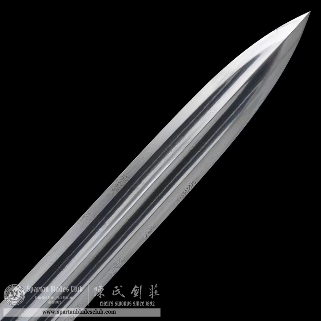 TL18 | Longhu Zhan Jian | Chinese sword (JIAN) | Damascus steel | twist and stars pattern | Wamian Structured | Black | Battle-Ready | Full-tang | Spartan Blades Club | CHEN'S SWORDS 1892 - Spartan Blades Club - 陳氏劍莊1892