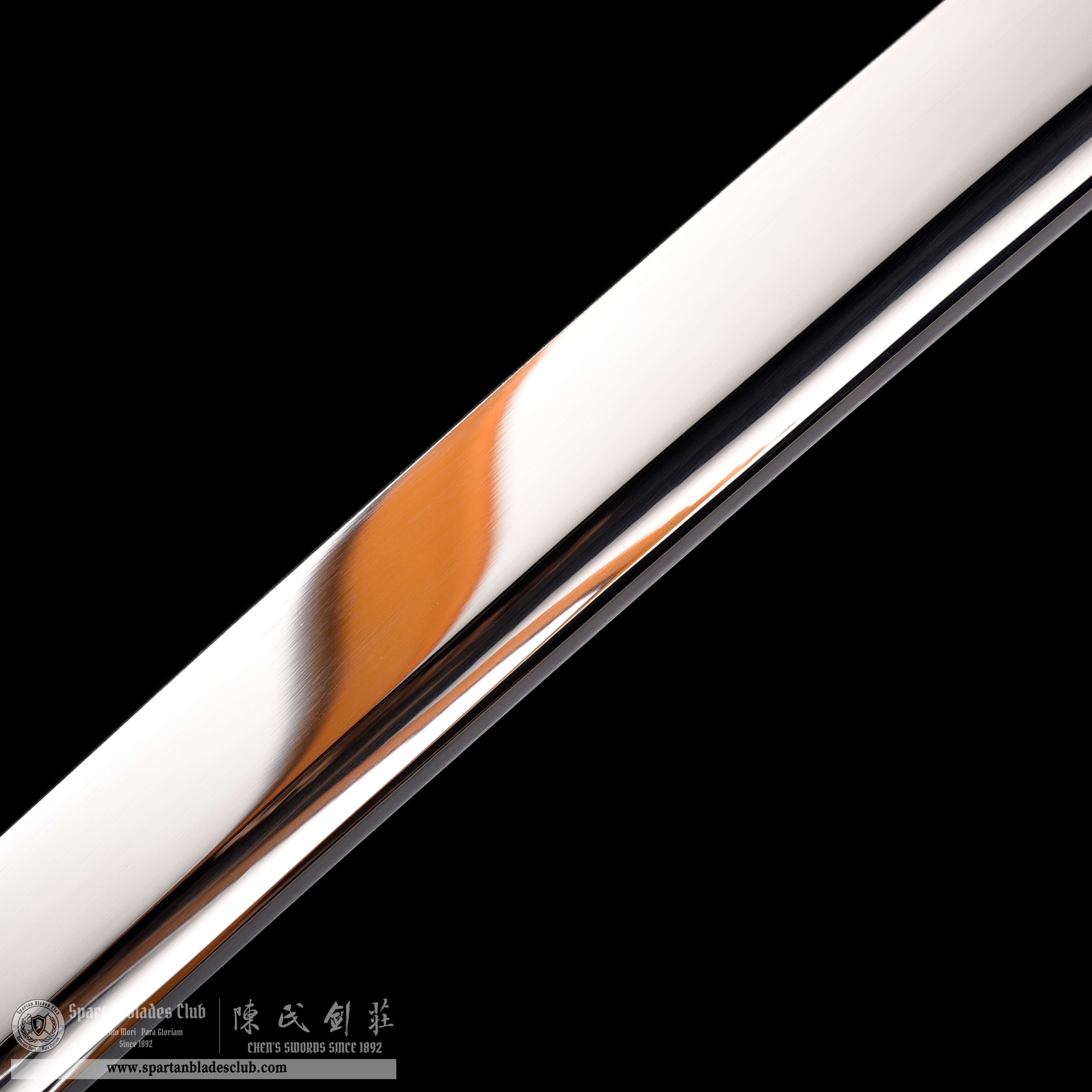 HY104 | Shiryu Katana | Katana | Spring Steel | Mirror Reflection | Purple&Black | Loong(Chinese Dragon) | Battle-Ready | Full-tang | Spartan Blades Club | CHEN'S SWORDS 1892 - Spartan Blades Club - 陳氏劍莊1892