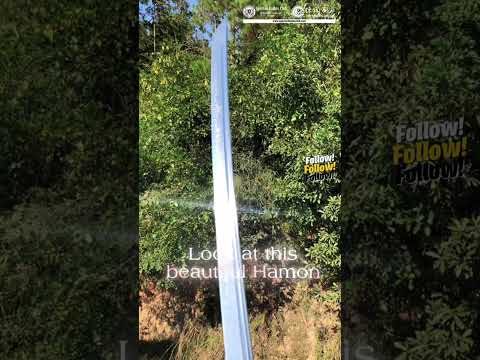 HY75 | Nozarashi, Kenpachi Zaraki's Zanpakuto | BLEACH | Anime Sword | T10 steel | Clay-tempered | Real Hamon | White | Battle-Ready | Full-tang | Spartan Blades Club | CHEN'S SWORDS 1892 - Spartan Blades Club - 陳氏劍莊1892