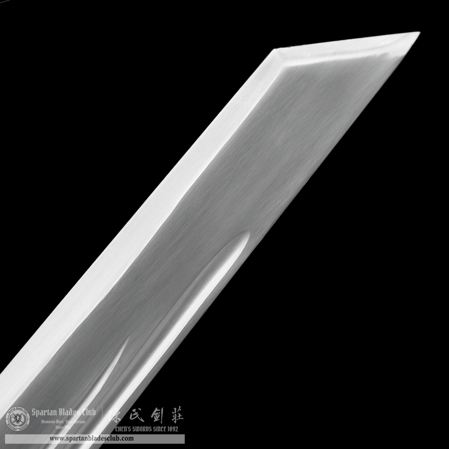 HW30 | ZhenLoong Bao Dao | Fancy Sword | Carbon Steel | Black&Golden | Loong(Chinese dragon) | Battle-Ready | Full-tang | Spartan Blades Club | CHEN'S SWORDS 1892 - Spartan Blades Club - 陳氏劍莊1892