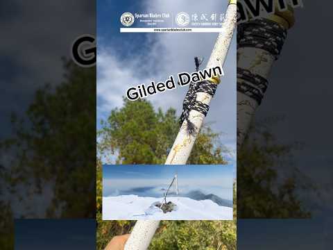 HY129 | Atsu | An'ya Ryuukin | Hatsuyo Ryuukin | Katana | Ghost of Yōtei | T10 Steel | Clay-tempered | with Real Hamon | Black&Golden&White | Battle-Ready | Full-tang | Spartan Blades Club | CHEN'S SWORDS 1892 - Spartan Blades Club - 陳氏劍莊1892