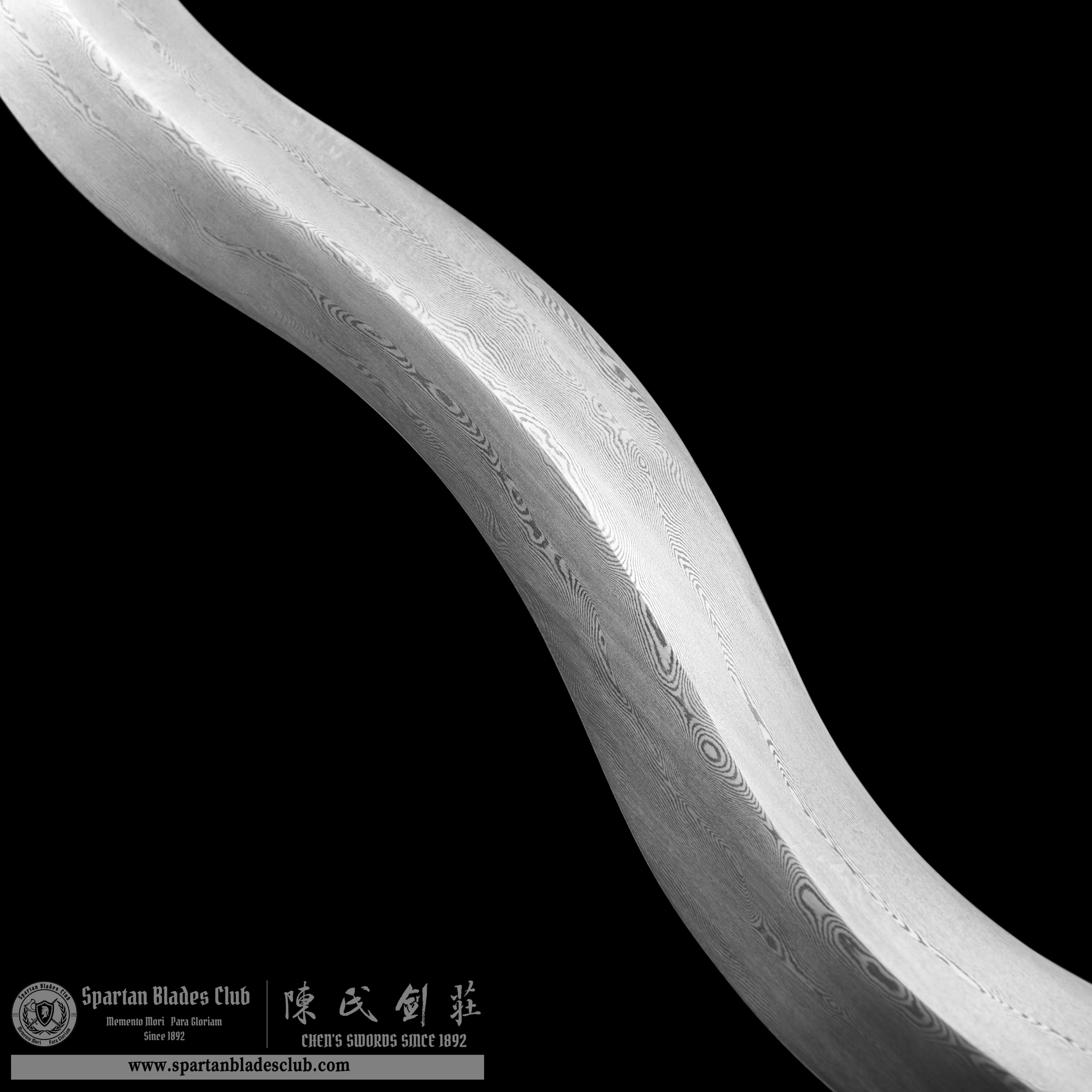 JYG04 | Zhangba She Mao | Chinese weapons | Damascus Steel | Loong(Chinese Dragon)  | Snake | Red | Battle-Ready | Full-tang | Spartan Blades Club | CHEN'S SWORDS 1892 - Spartan Blades Club - 陳氏劍莊1892