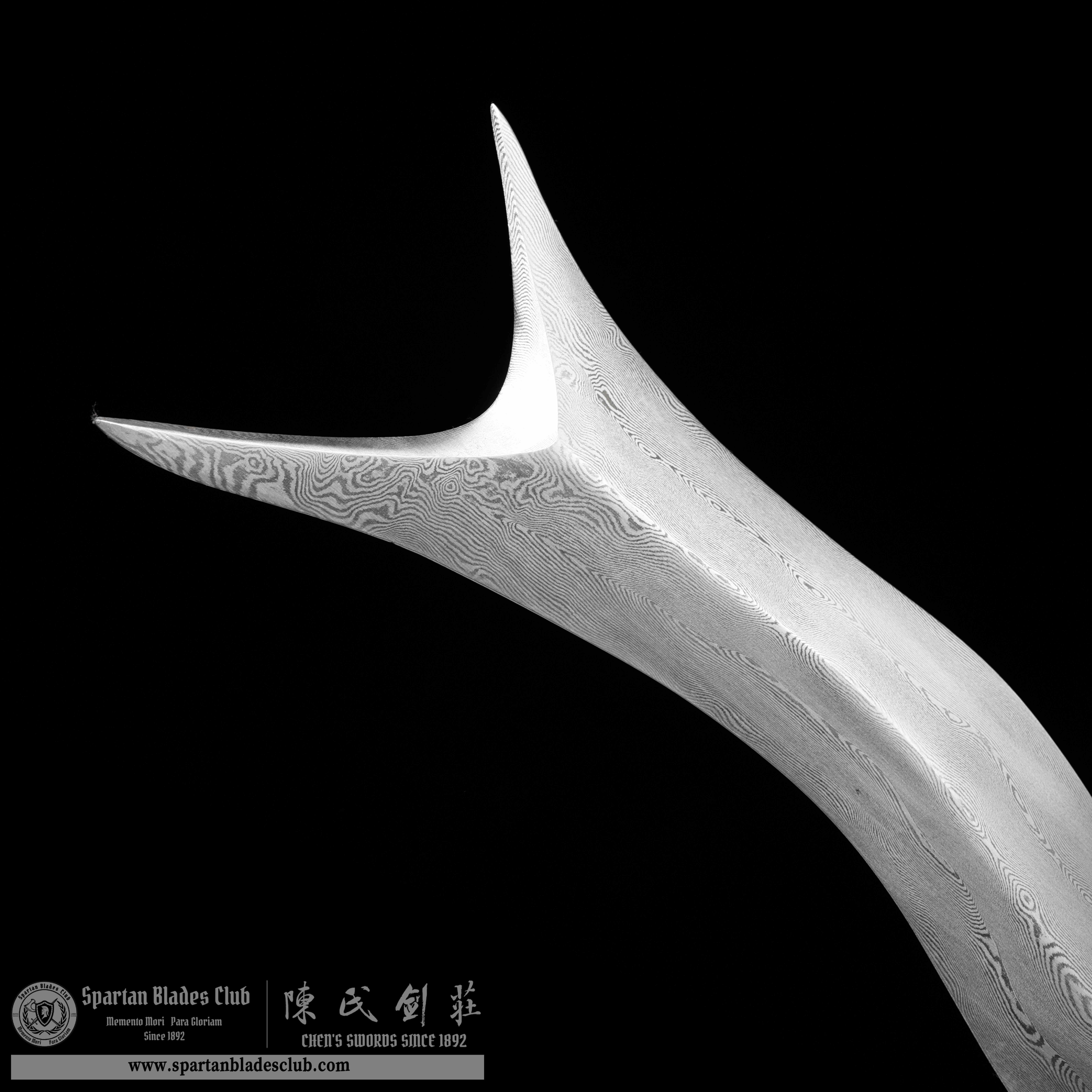 JYG04 | Zhangba She Mao | Chinese weapons | Damascus Steel | Loong(Chinese Dragon)  | Snake | Red | Battle-Ready | Full-tang | Spartan Blades Club | CHEN'S SWORDS 1892 - Spartan Blades Club - 陳氏劍莊1892