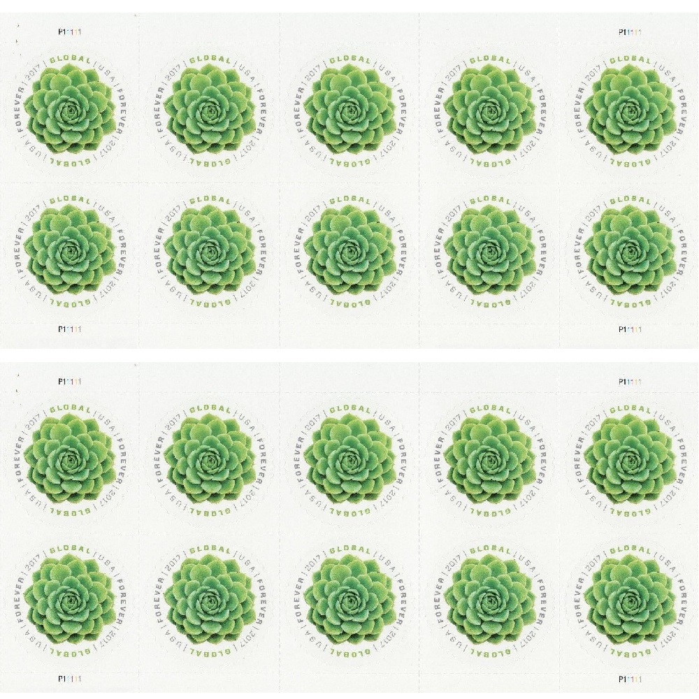 Global Green Succulent 2017 - 5 Sheets / 50 Pcs