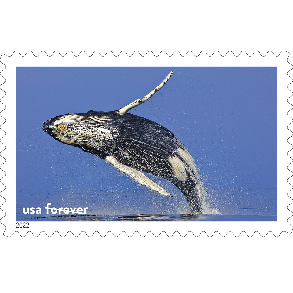 Marine Sanctuaries 2022 - 5 Sheets / 80 Pcs