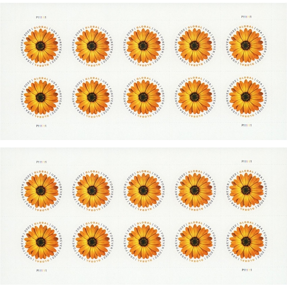 Global African Daisy 2022 - 5 Sheets / 50 Pcs