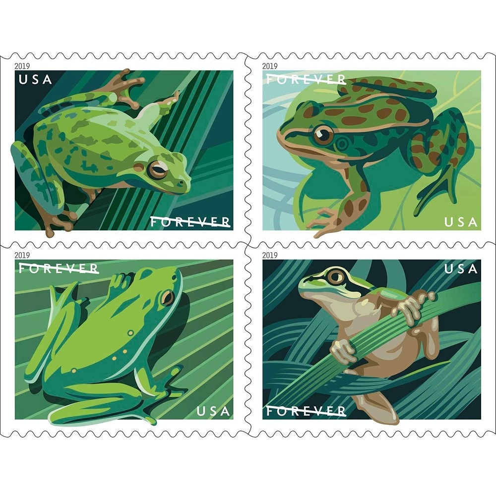 Frogs 2019 - 5 Booklets / 100 Pcs