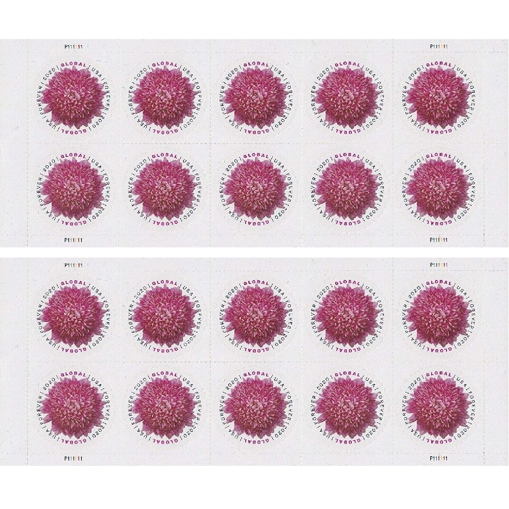 Global Chrysanthemum 2020 - 5 Sheets / 50 Pcs