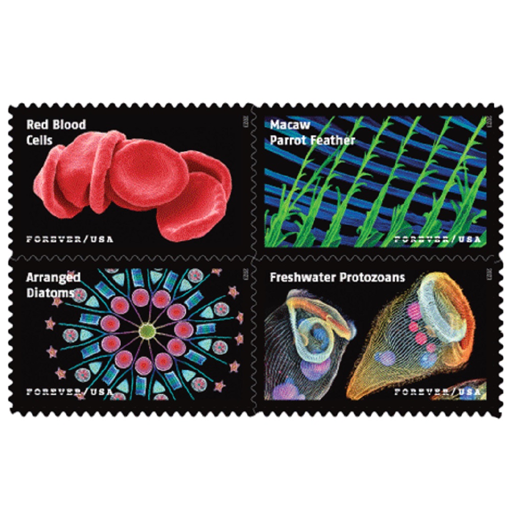 Life Magnified 2023 - 5 Sheets / 100 Pcs