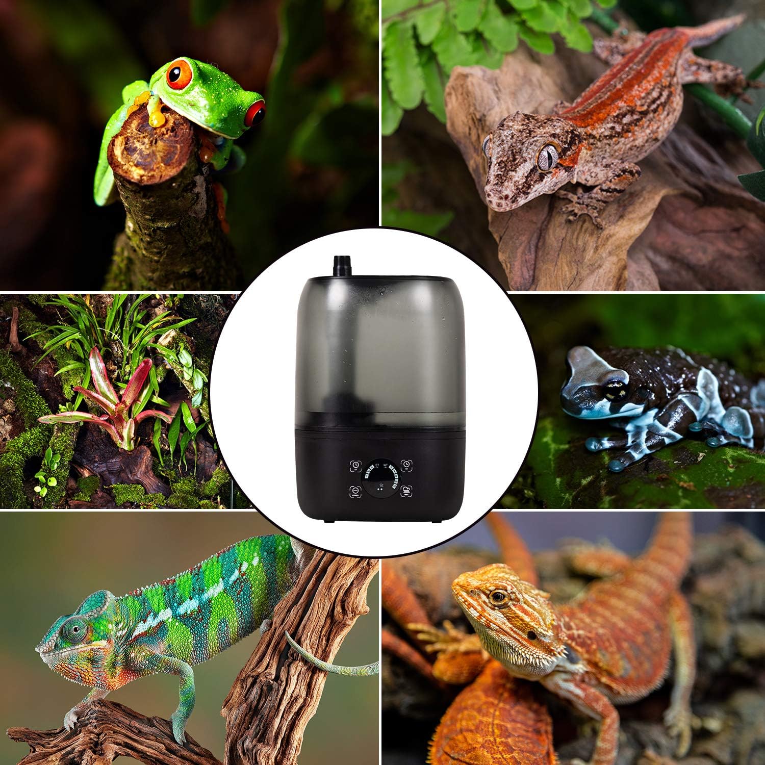 4L Reptile Fogger Mister Tank, Terrariums Digital Tank Timing Humidifier Smart Touch Screen Adjustable Fogger for Reptiles Amphibians Herps
