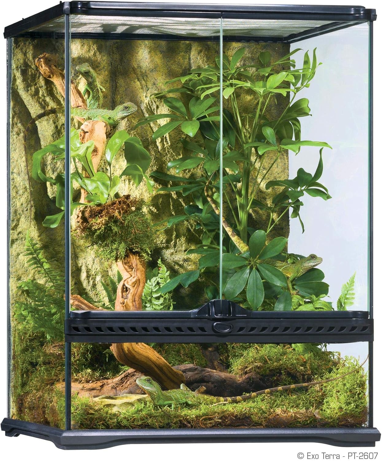 Glass Terrarium Kit, for Reptiles and Amphibians, Mini Wide, 12 x 12 x 12 Inches, PT2600A1