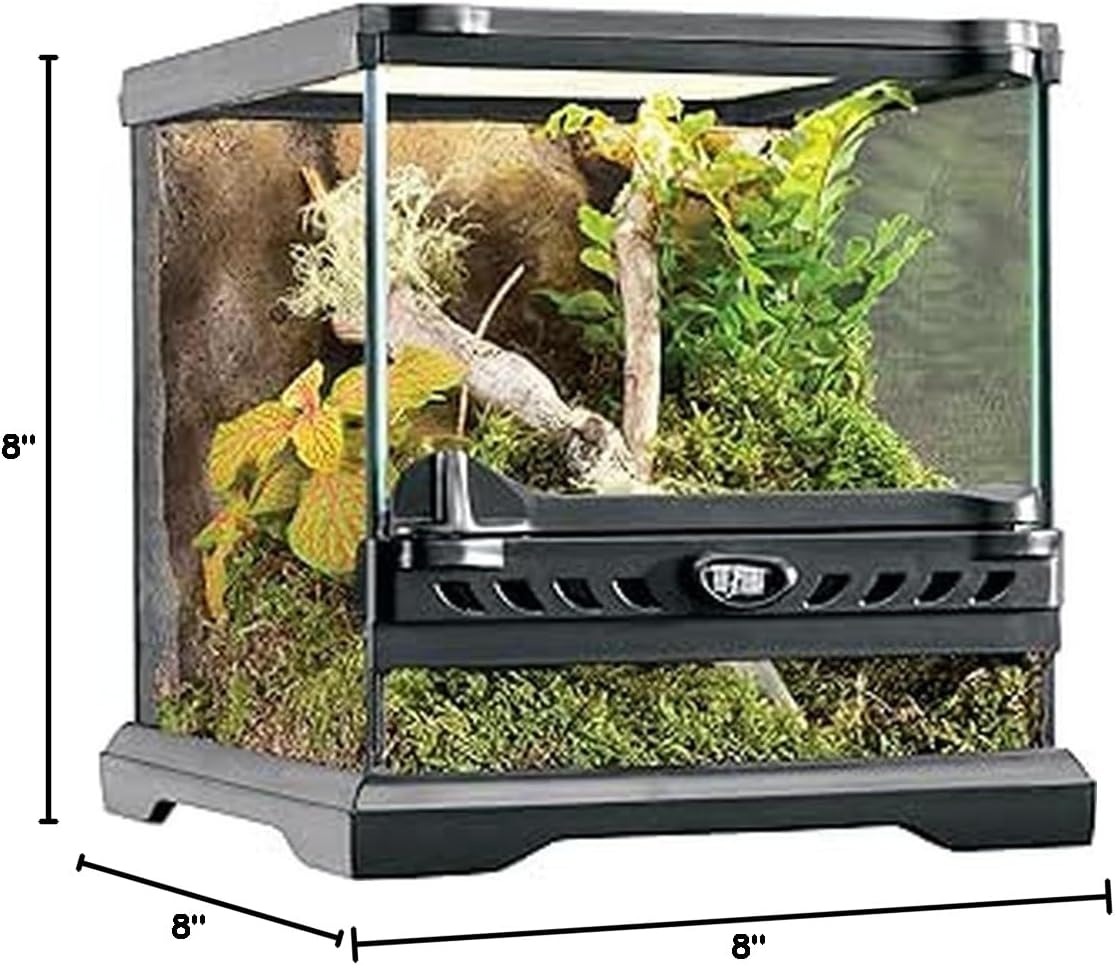 Glass Natural Terrarium Kit, for Reptiles and Amphibians, Nano Tall, 8 x 8 x 12 inches, PT2601A1