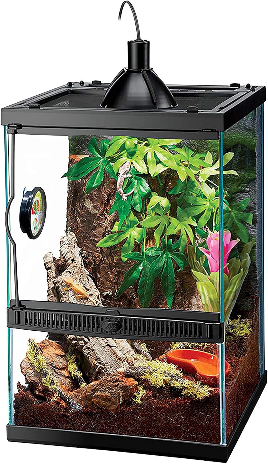 11 Gallon Glass Tropical Vertical Habitat Starter Kit for Small Tree Dwelling Reptiles & Amphibians