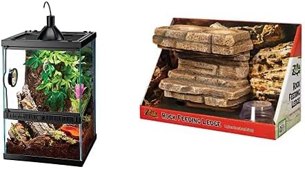 11 Gallon Glass Tropical Vertical Habitat Starter Kit for Small Tree Dwelling Reptiles & Amphibians