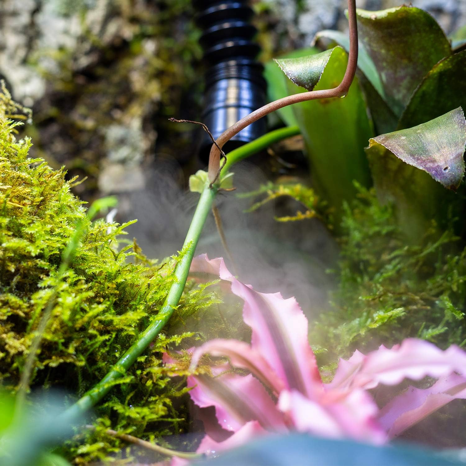 4L Reptile Fogger Mister Tank, Terrariums Digital Tank Timing Humidifier Smart Touch Screen Adjustable Fogger for Reptiles Amphibians Herps