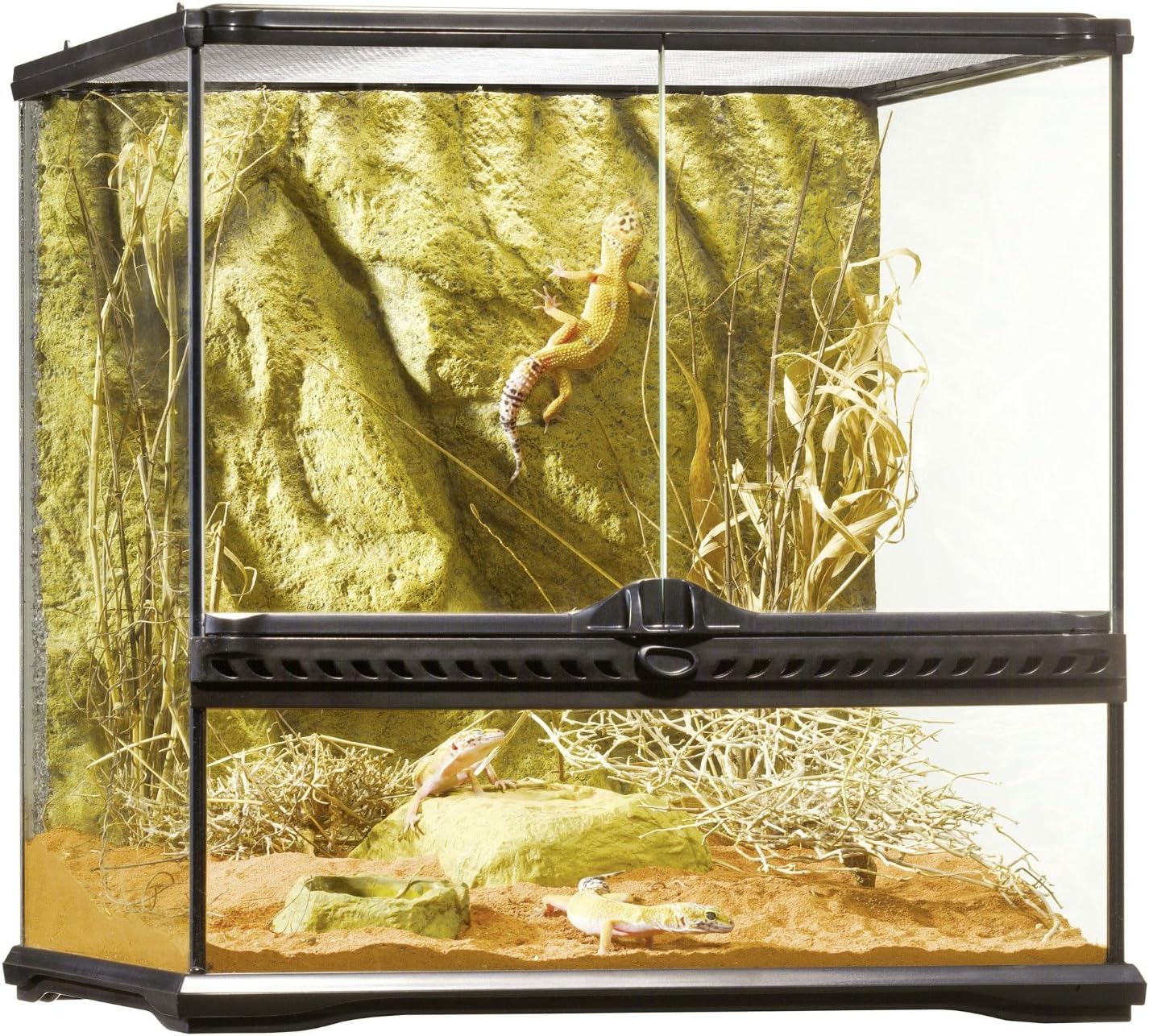 Glass Terrarium Kit, for Reptiles and Amphibians, Mini Wide, 12 x 12 x 12 Inches, PT2600A1