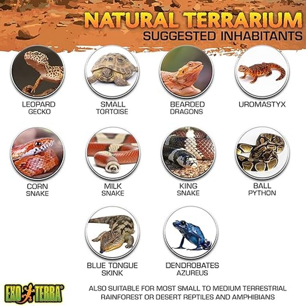 Glass Natural Terrarium Kit, for Reptiles and Amphibians, Nano Tall, 8 x 8 x 12 inches, PT2601A1