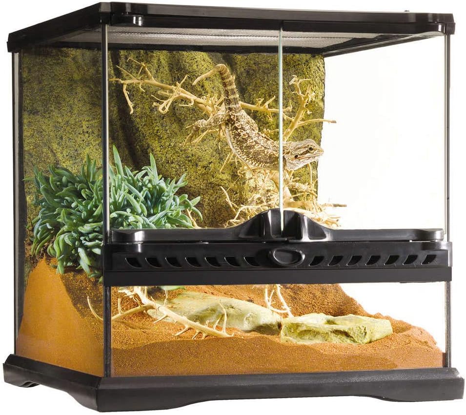Glass Terrarium Kit, for Reptiles and Amphibians, Mini Wide, 12 x 12 x 12 Inches, PT2600A1