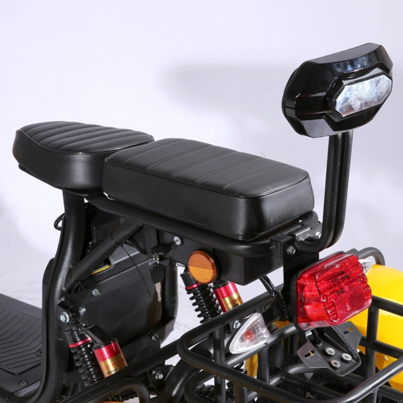 3 Wheels Adult Electric Scooter Electric Motorcycle With Passenger Seat