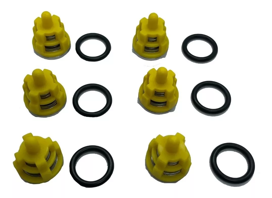 Válvulas Check Bomba Hidrolavadora Udor Bl 5.0/30 W Kit 2