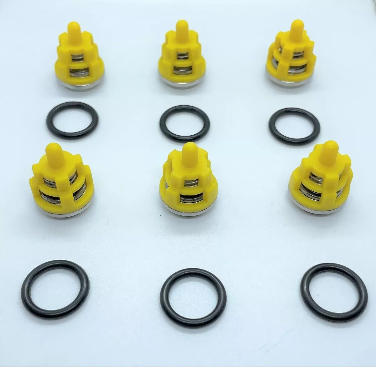 Válvulas Check Bomba Hidrolavadora Udor Bl 5.0/30 W Kit 2